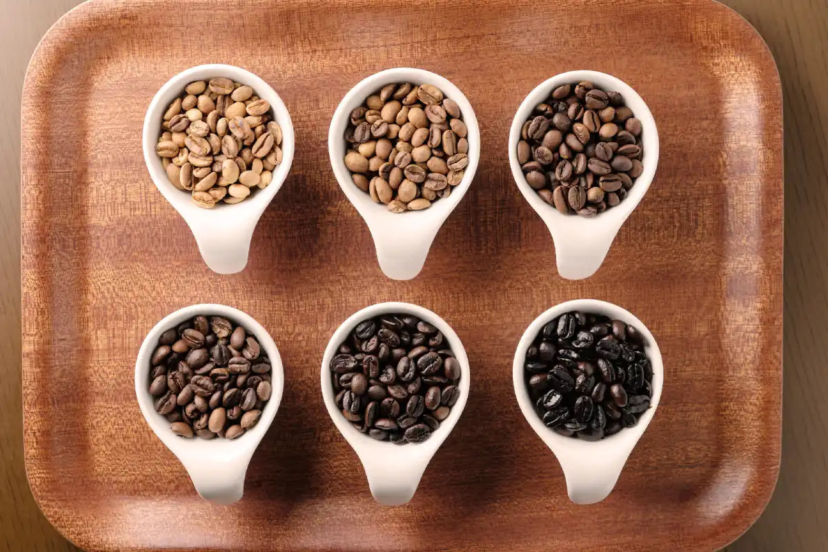 Types of coffee beans: everything you need to know