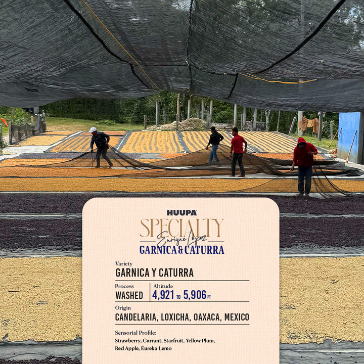 A large product information card for 'HUAPA SPECIALTY' is superimposed over a background photo of workers spreading dried beans. The card details the 'Garnica y Caturra' variety, process and origin.