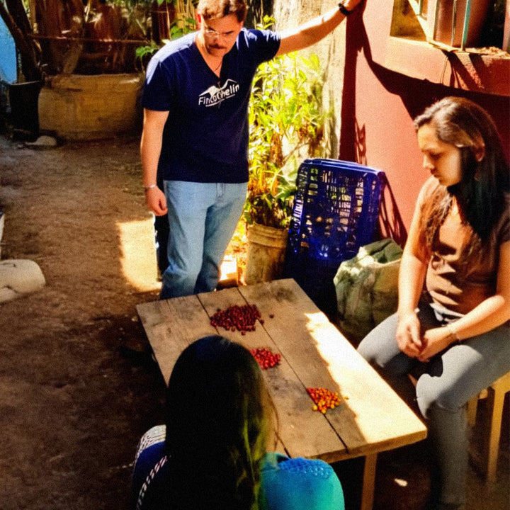 Two people sitting at a wooden table with red berries on it, outdoors. Enrique Lopez and Women Coffee producers working.