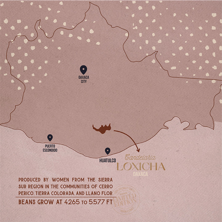 Map of Oaxaca with locations marked and text about Candelaria Loxicha Oaxaca coffee beans.