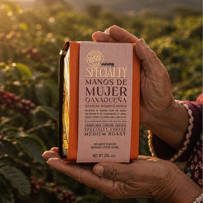 Hand holding a specialty coffee package with a coffee field in the background