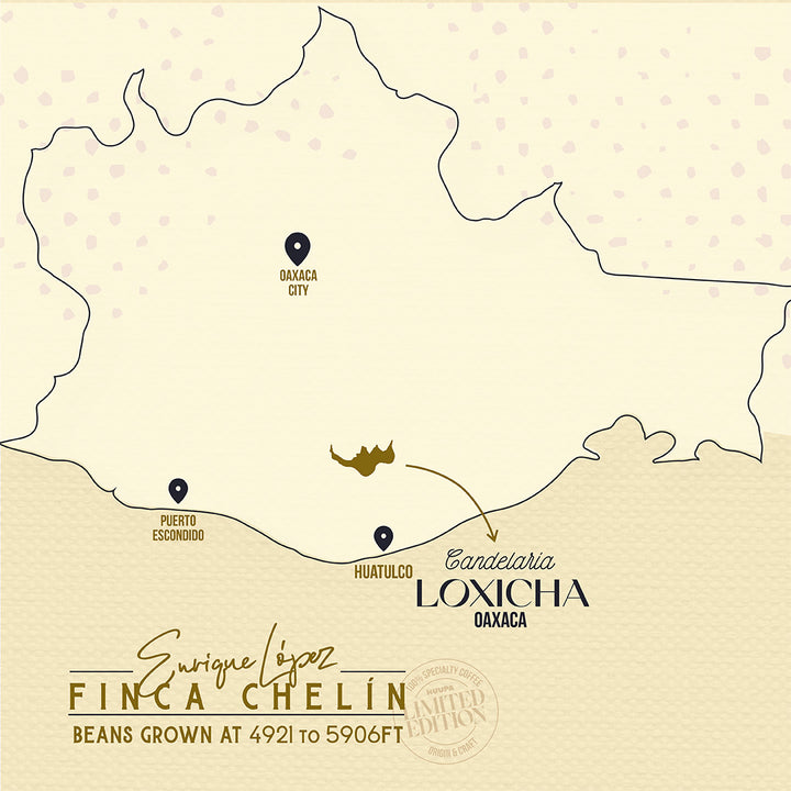 A stylized map graphic highlighting the location of Loxicha Oaxaca on Finca Chelín, with labeled cities and a small gold crown icon marking the specific farm location. The design uses a warm cream background with dark navy outlines and text.