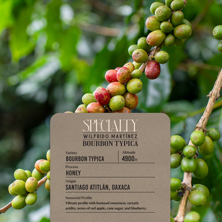 Coffee cherries on a branch with a specialty coffee card in front