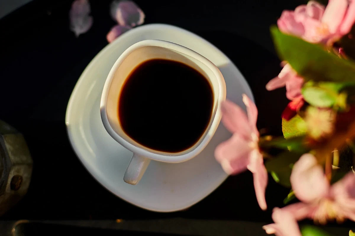 Caturra coffee