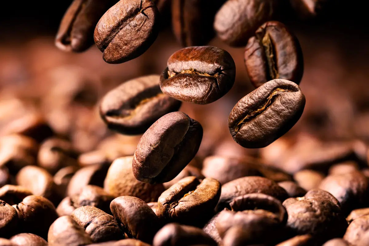 How long do coffee beans last
