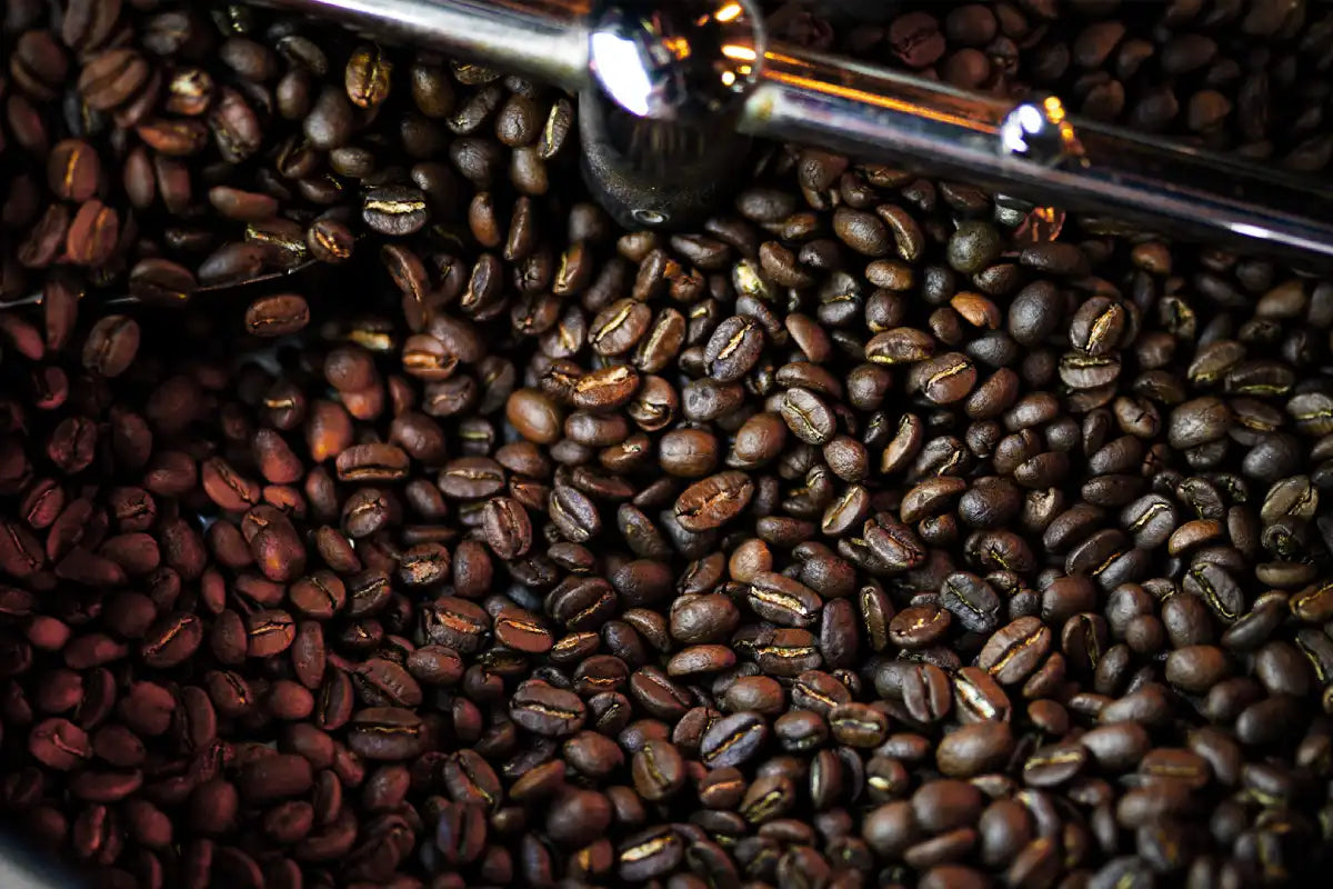 freshly roasted coffee