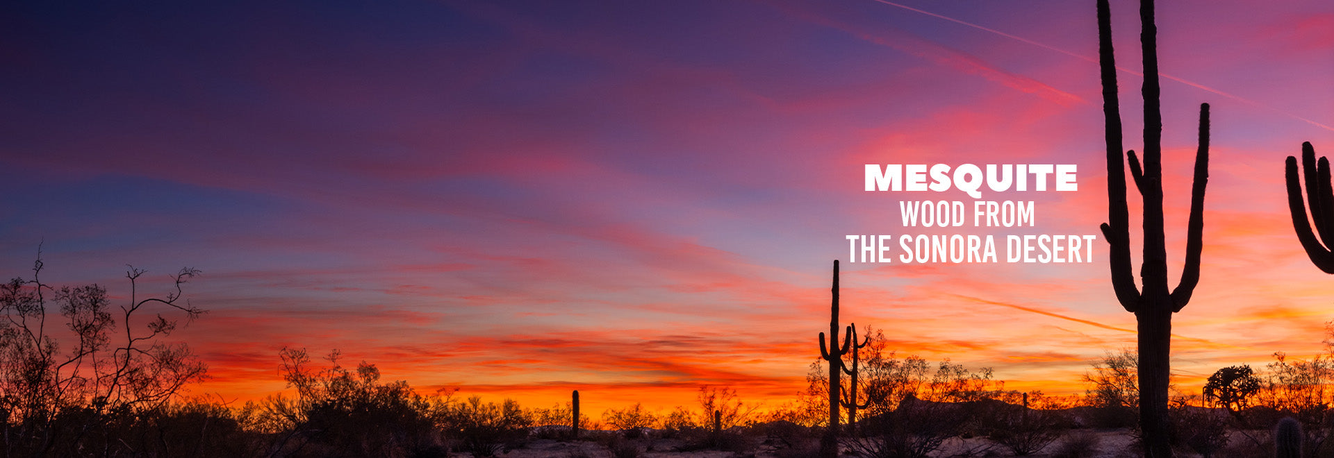 Mesquite firewood from the Sonoran Desert