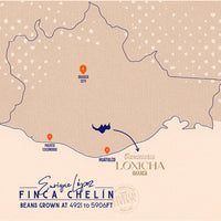 A stylized map graphic showing the outline of Oaxaca, Mexico, with labeled points including Sacra City, Puerto Segundo, Huatulco, and Loxicha Oaxaca. The map has a beige textured background with blue contour lines and text reading 'Finca Chelín' and 'Beans Grown.