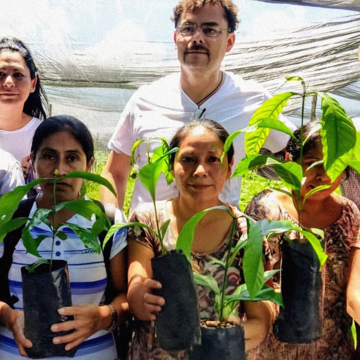 Group of people holding small plants in a greenhouse setting
