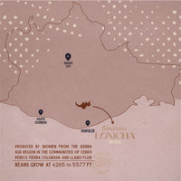 Map of Oaxaca with locations marked and text about Candelaria Loxicha Oaxaca coffee beans.